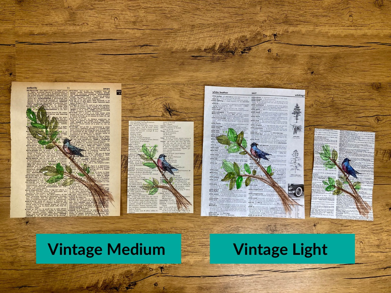 Bird on a Branch, Vintage Dictionary Paper, Original Painting