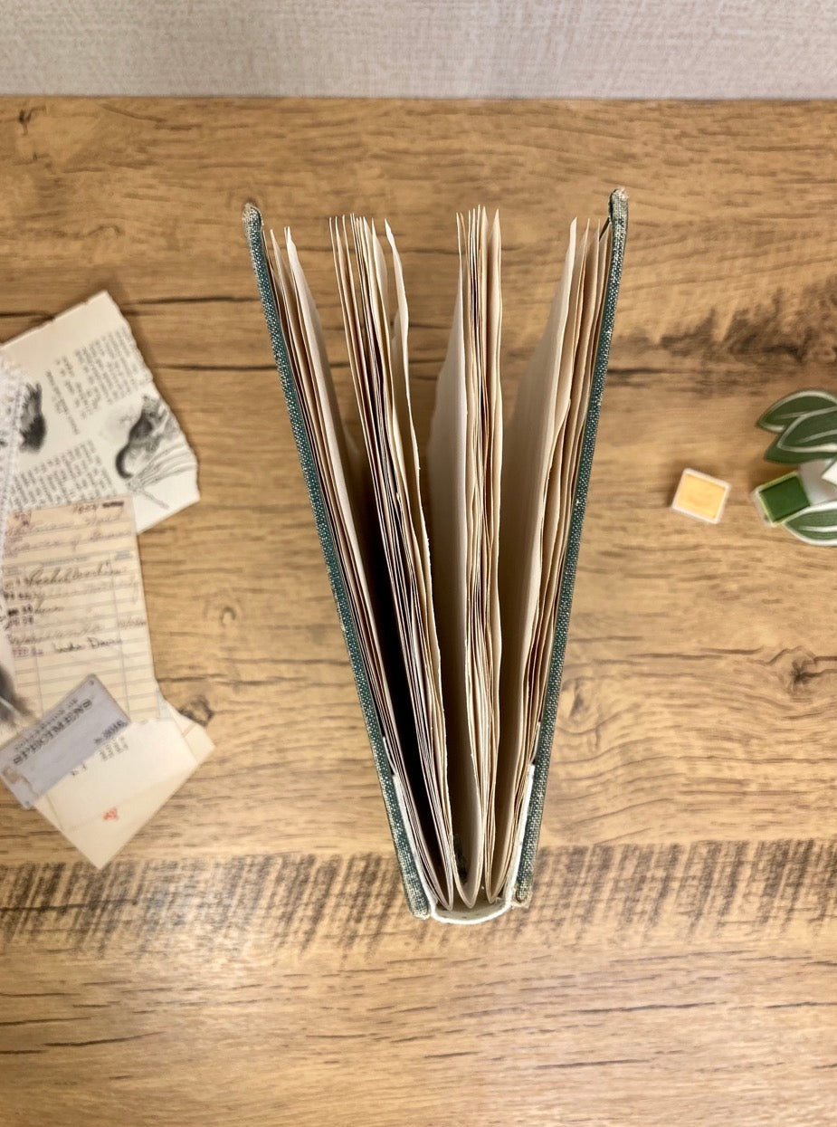 Medium, Vintage Altered Book, Shorthand, Eco-dyed Journal