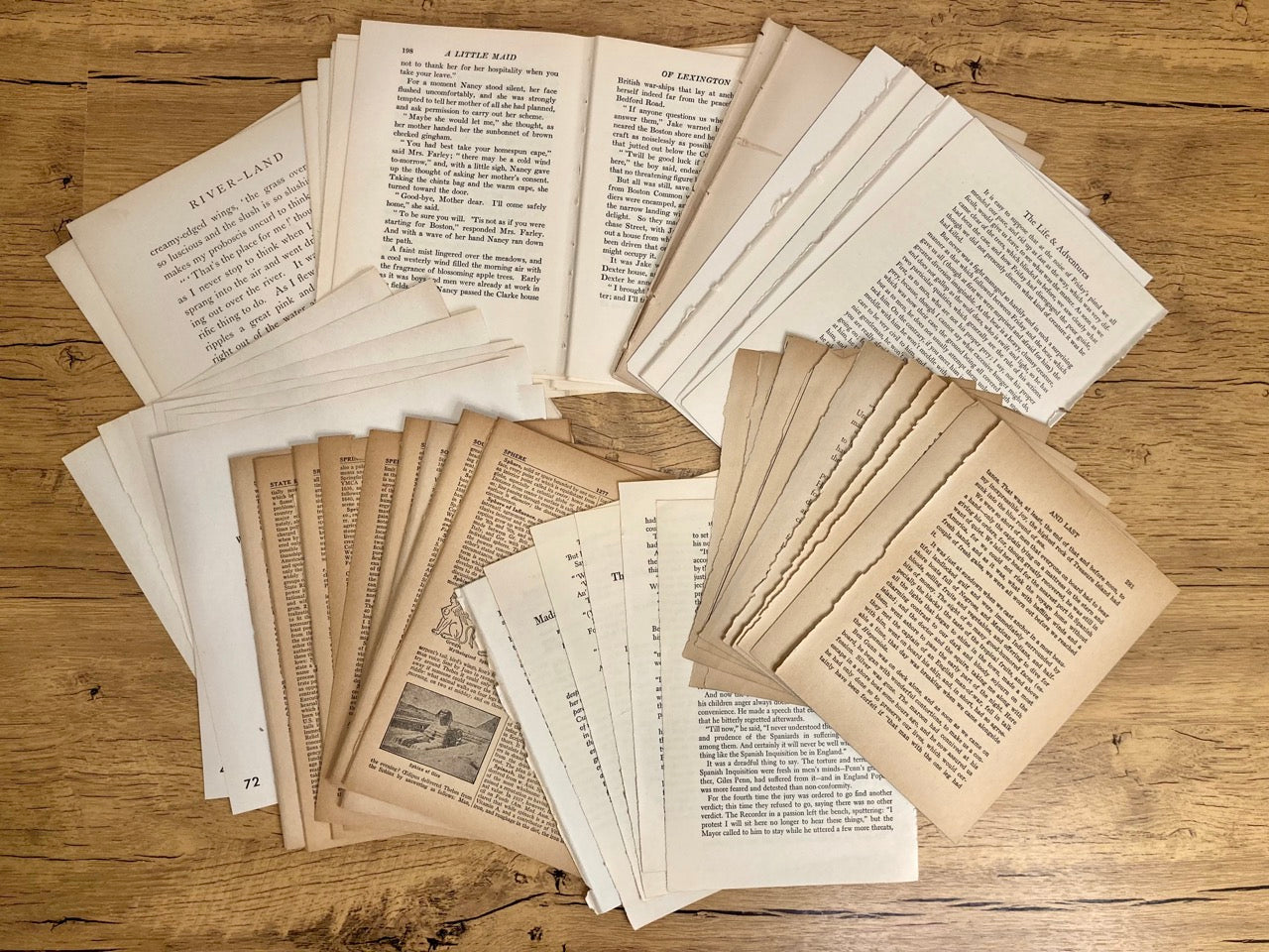 Vintage Text Only Book Pages (50 sheets)