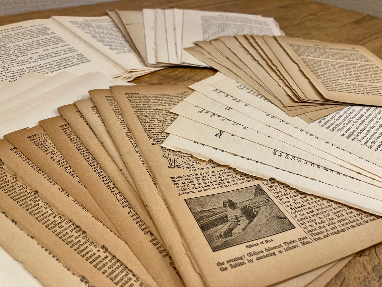 Vintage Text Only Book Pages (50 sheets)