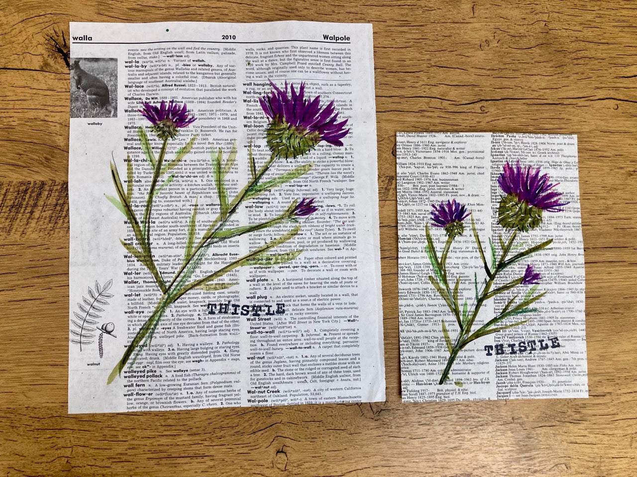 Vintage Floral: Thistle, Vintage Dictionary Paper, Original Painting