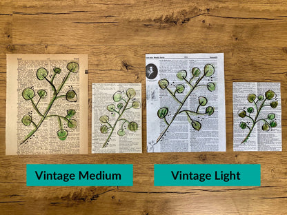 Botanical Leaf Series: Eucalyptus, Vintage Dictionary Paper, Original Painting