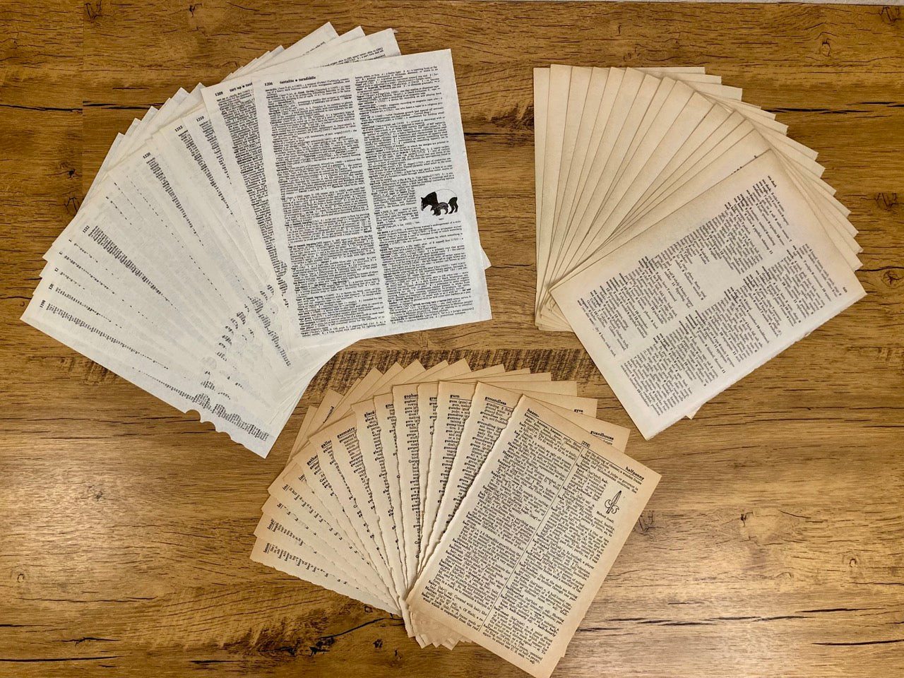 Vintage Dictionary Book Pages (50 sheets)