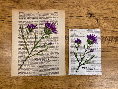 Vintage Floral: Thistle, Vintage Dictionary Paper, Original Painting
